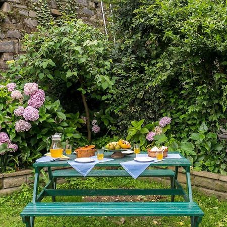 Stayvista At Sidhowal Lodge 1Br W Comp Breakfast Shimla Eksteriør bilde